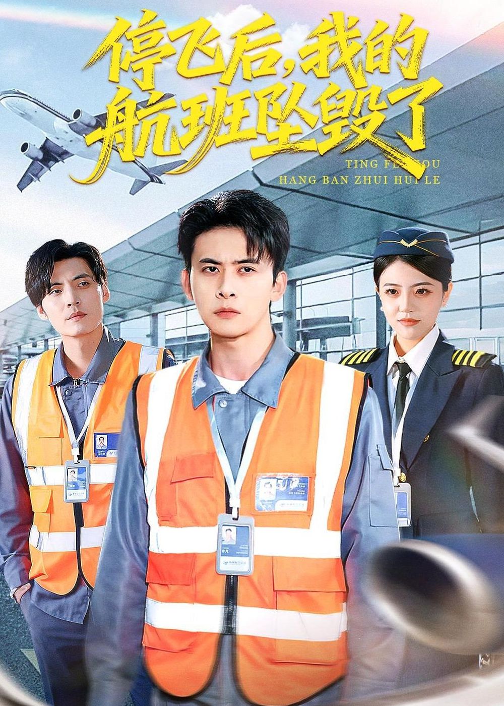 《停飞后，我的航班坠毁了(2026)》高清海报 免费在线观看
