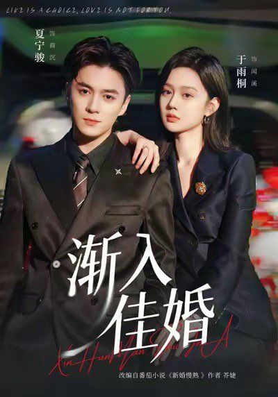 《渐入佳婚(2025)》高清海报 免费在线观看