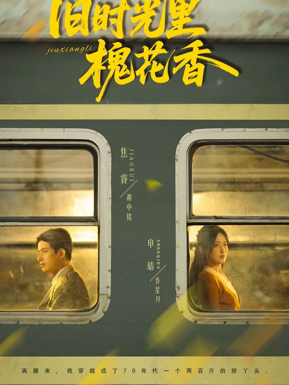 《旧时光里槐花香(2026)》高清海报 免费在线观看