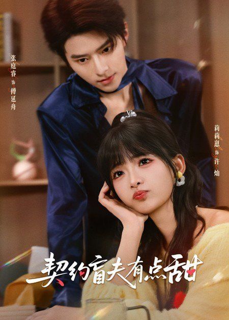 《契约盲夫有点甜(2026)》高清海报 免费在线观看
