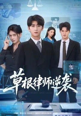 《草根律师逆袭(2026)》高清海报 免费在线观看