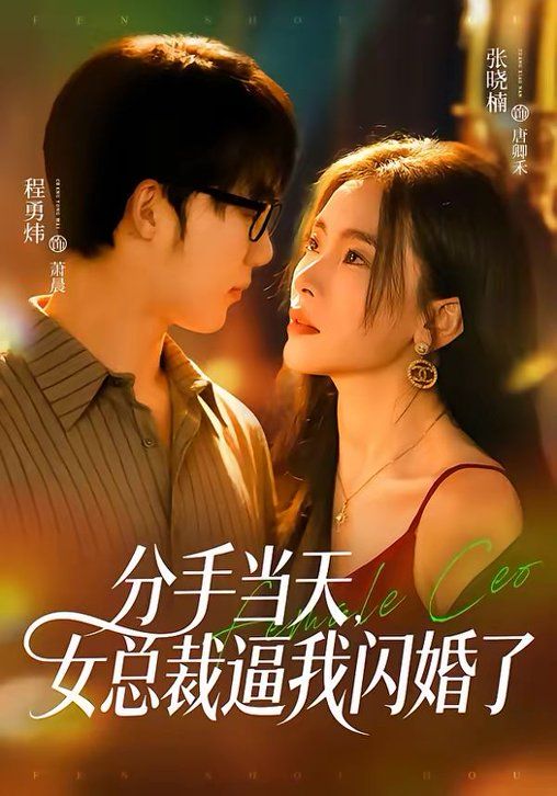 《分手当天，女总裁逼我闪婚了(2026)》高清海报 免费在线观看