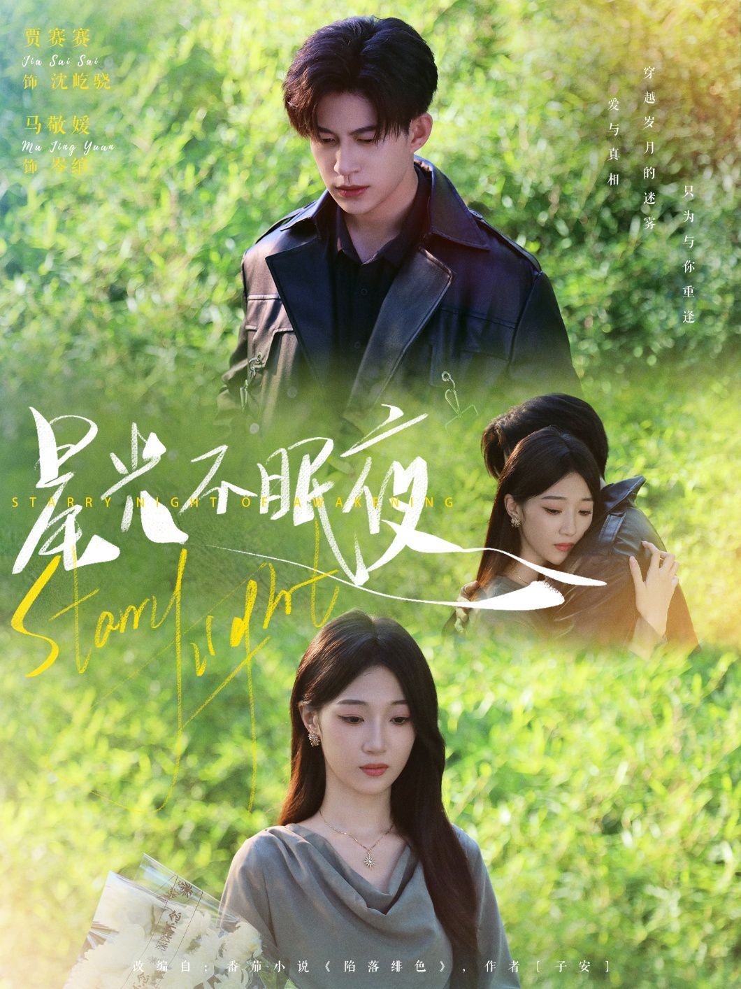 《星光不眠夜(2025)》高清海报 免费在线观看