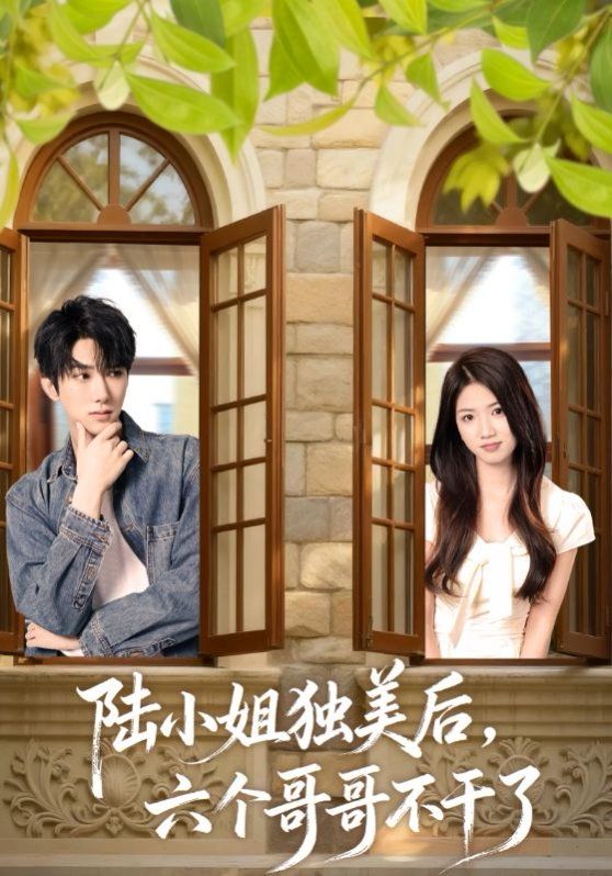 《陆小姐独美后六个哥哥不干了(2025)》高清海报 免费在线观看