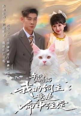 《午夜缅因猫我的饲主竟是命中注定(2026)》高清海报 免费在线观看