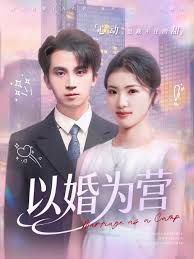 《以婚为营(2025)》高清海报 免费在线观看