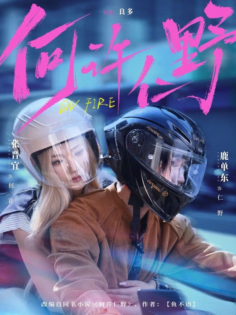 《何许仁野(2026)》高清海报 免费在线观看
