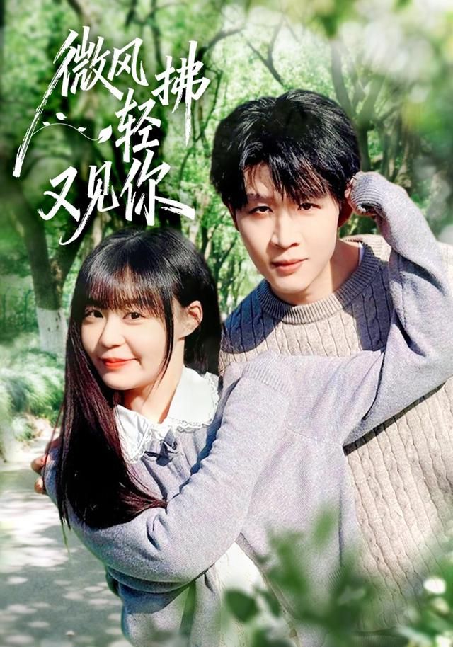 《微风轻拂又见你(2026)》高清海报 免费在线观看