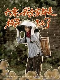 《六零，我全家都是极品怎么了(2025)》高清海报 免费在线观看