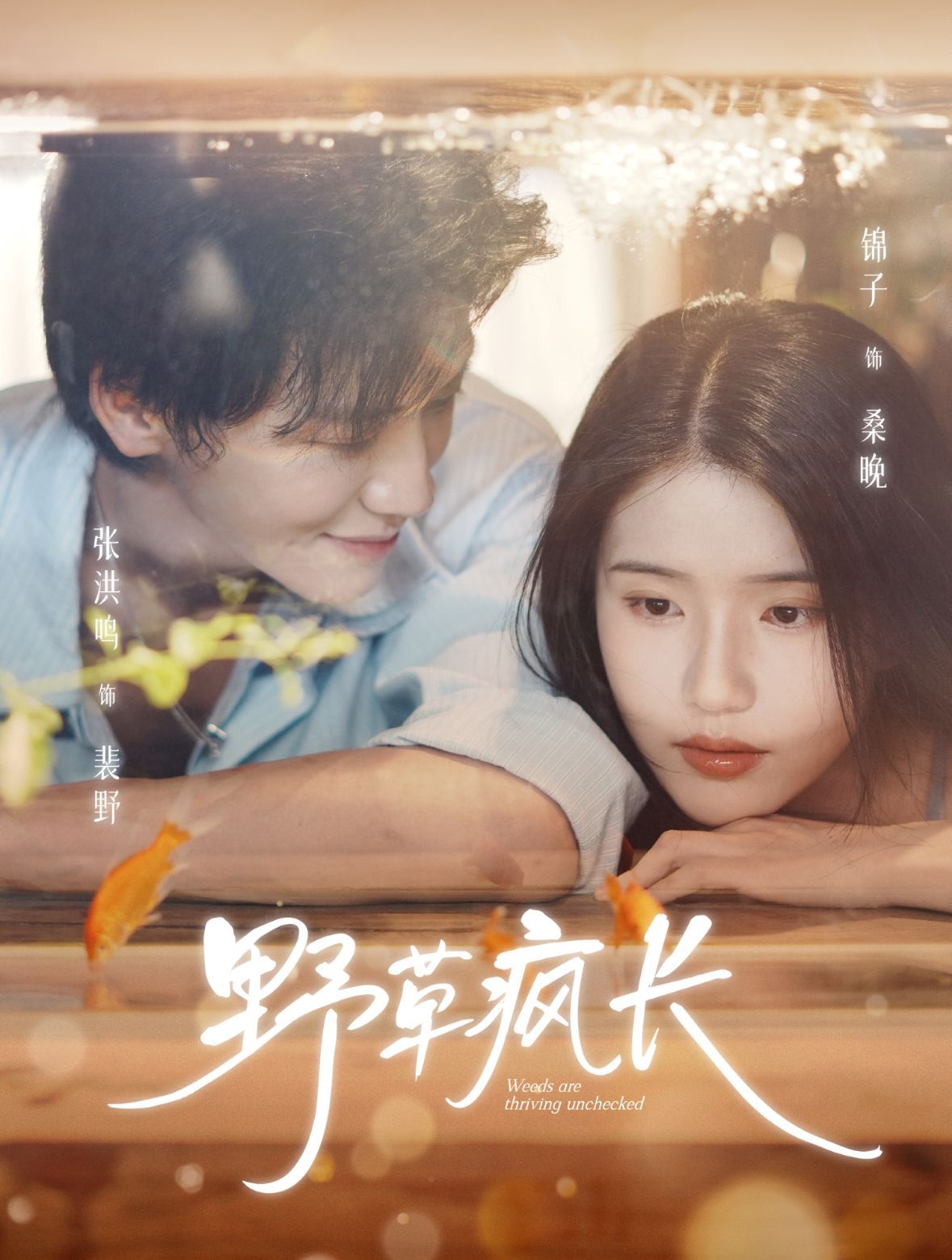 《野草疯长(2025)》高清海报 免费在线观看