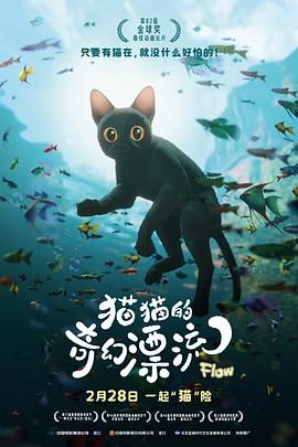 《猫猫的奇幻漂流(2024)》高清海报 免费在线观看