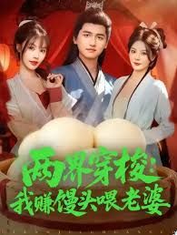 《两界穿梭：我赚馒头喂老婆(2025)》高清海报 免费在线观看