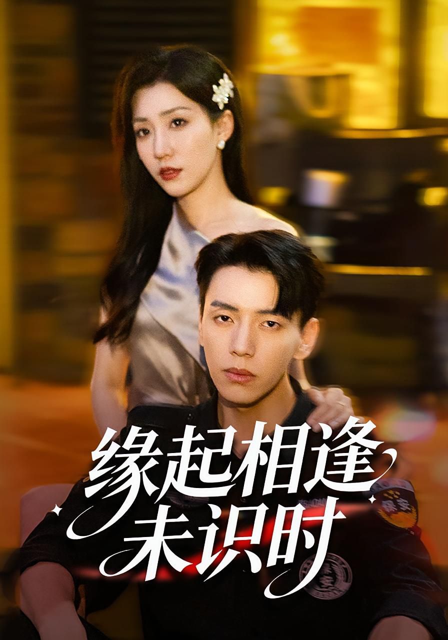 《缘起相逢未识时(2025)》高清海报 免费在线观看