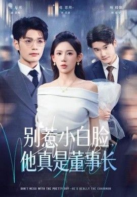《别惹小白脸，他真是董事长(2025)》高清海报 免费在线观看
