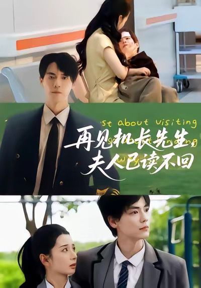 《再见机长先生夫人已读不回(2025)》高清海报 免费在线观看