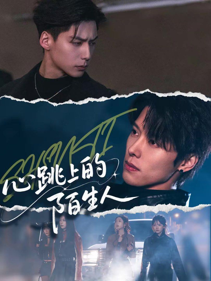 《心跳上的陌生人(2026)》高清海报 免费在线观看