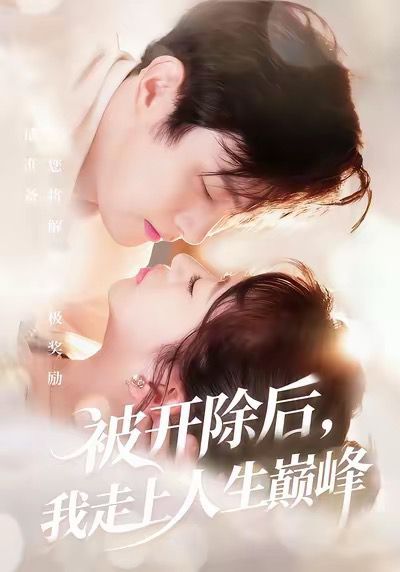 《被开除后我走上人生巅峰(2025)》高清海报 免费在线观看