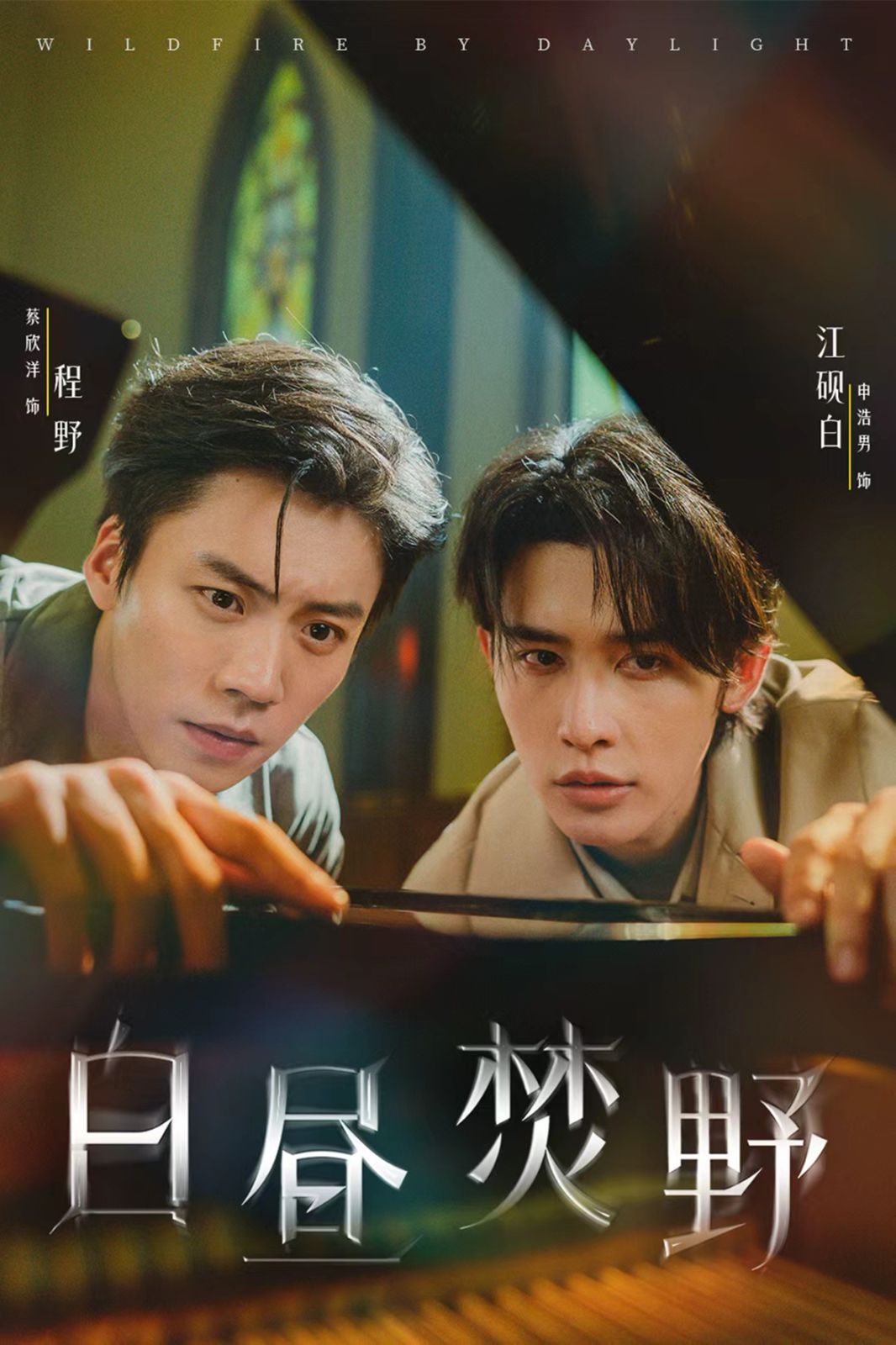 《白昼焚野(2025)》高清海报 免费在线观看