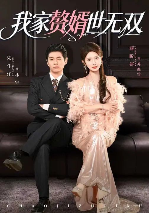 《我家赘婿世无双(2026)》高清海报 免费在线观看