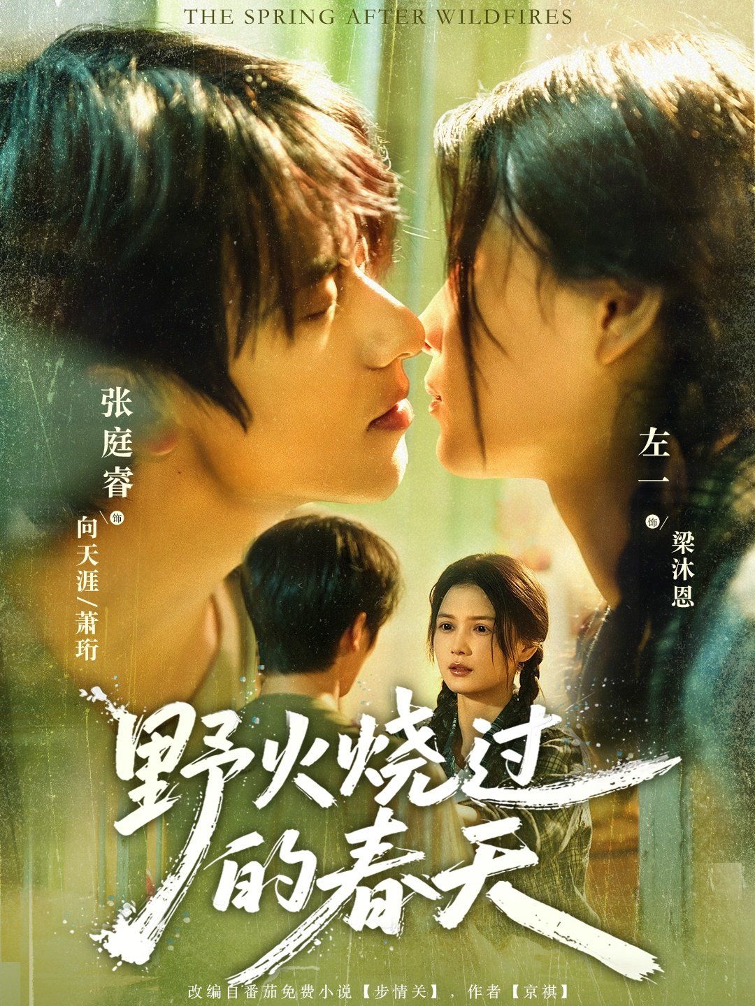 《野火烧过的春天(2025)》高清海报 免费在线观看