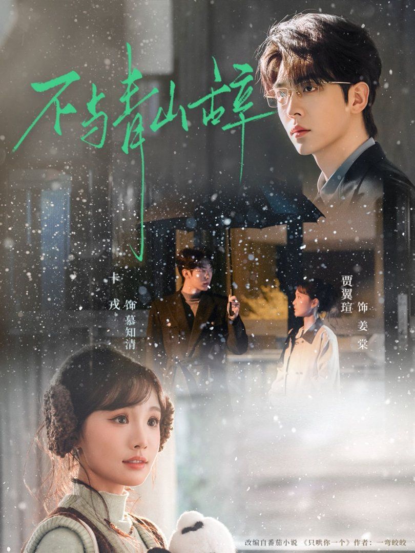 《不与青山辞(2026)》高清海报 免费在线观看