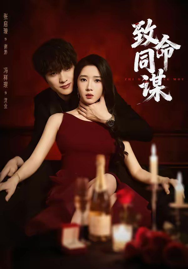 《致命同谋(2026)》高清海报 免费在线观看