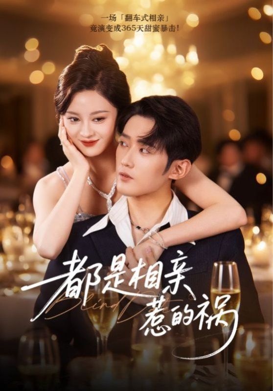 《都是相亲惹的祸(2025)》高清海报 免费在线观看