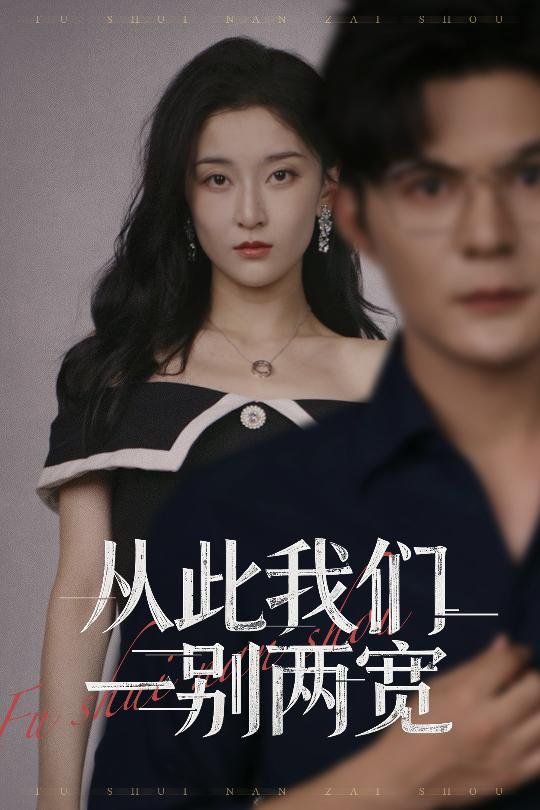 《从此我们一别两宽(2025)》高清海报 免费在线观看