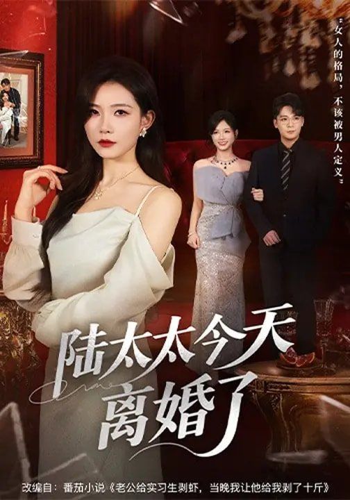 《陆太太今天离婚了(2026)》高清海报 免费在线观看