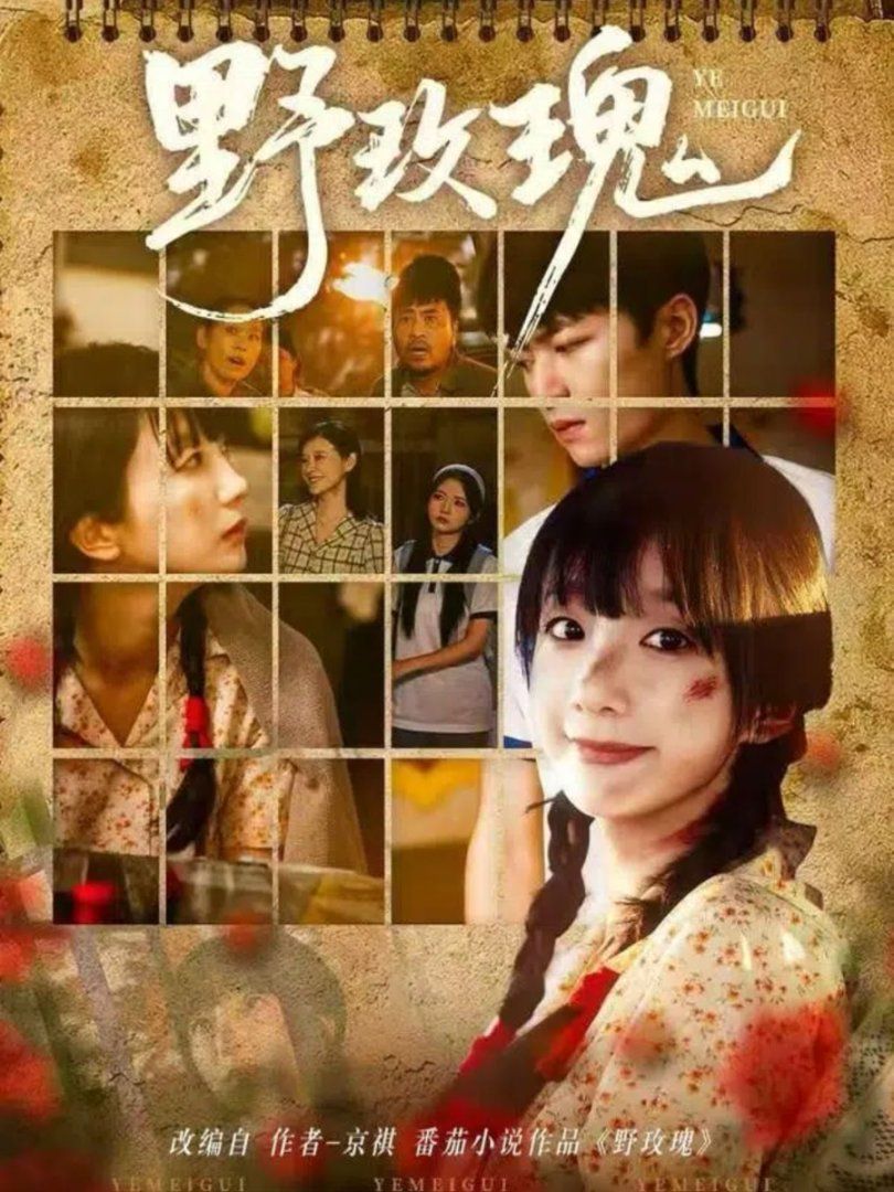 《野玫瑰(2025)》高清海报 免费在线观看
