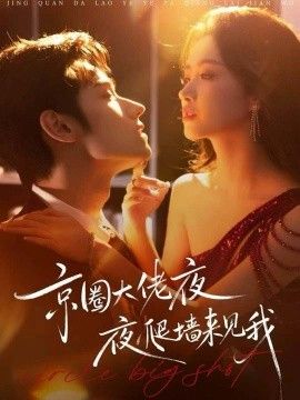 《京圈大佬夜夜爬墙来见我，吻上瘾，顾总他破防了(2026)》高清海报 免费在线观看