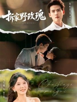 《拆家野玫瑰(2026)》高清海报 免费在线观看