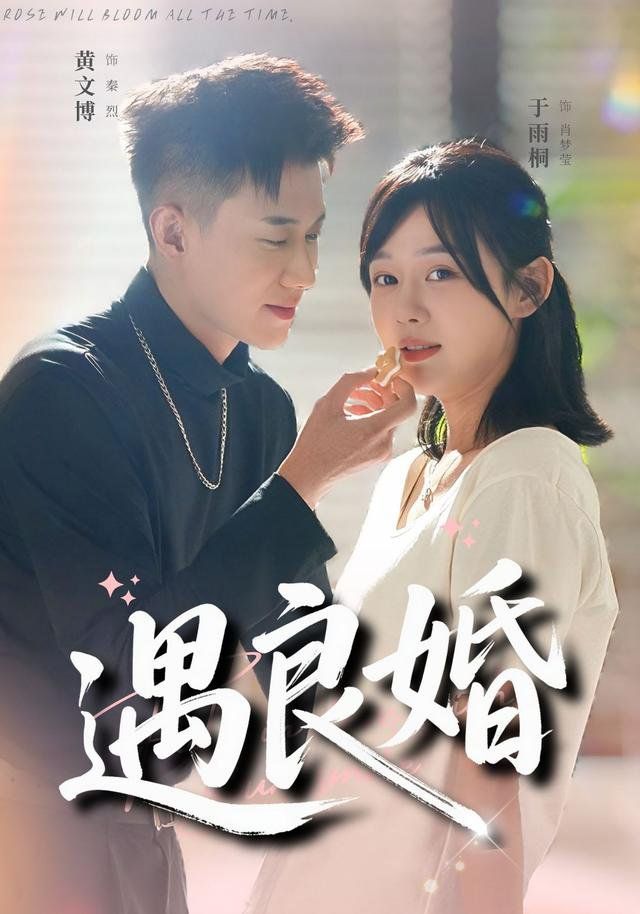 《遇良婚(2025)》高清海报 免费在线观看