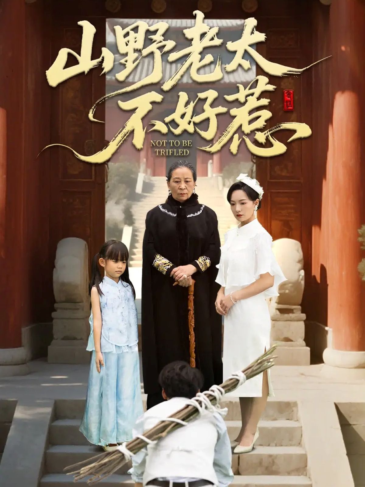 《山野老太不好惹（奶奶一脚震全城）(2025)》高清海报 免费在线观看
