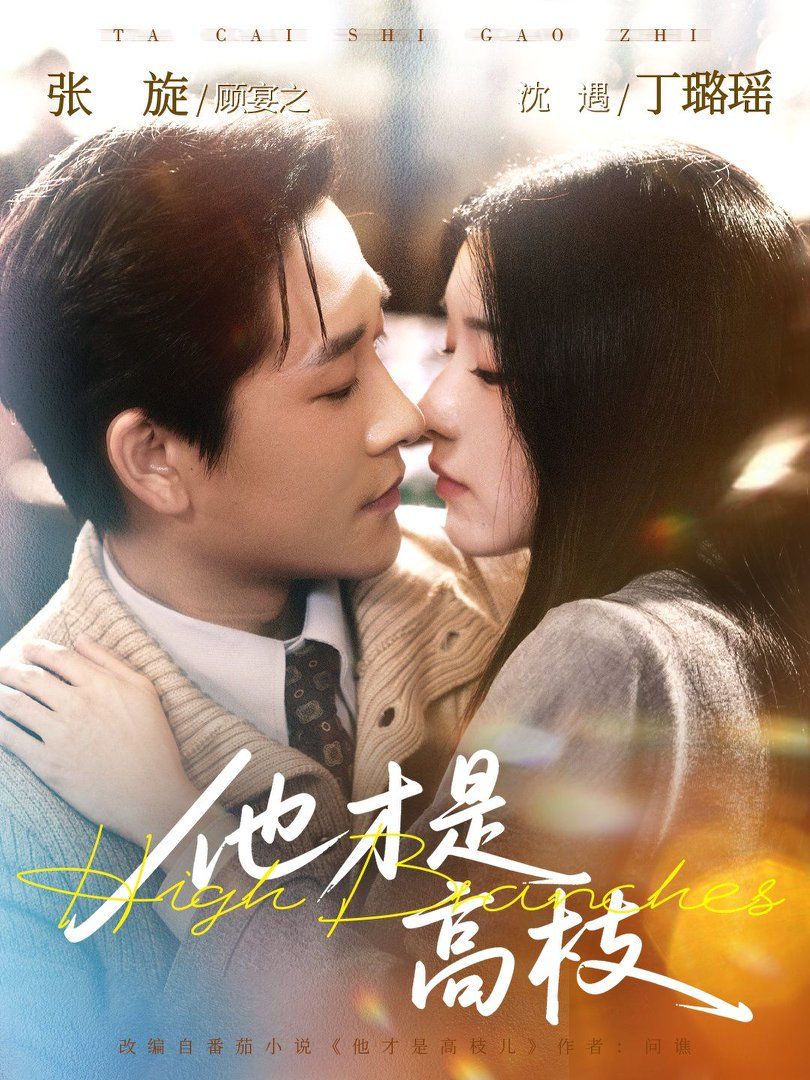 《他才是高枝(2026)》高清海报 免费在线观看