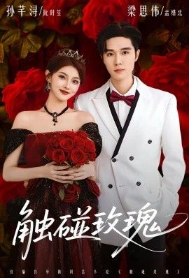 《触碰玫瑰（凌晨四点半，玫瑰花未眠）(2026)》高清海报 免费在线观看