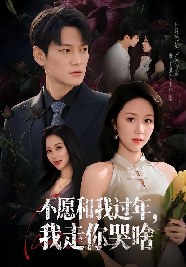 《不愿和我过年，我走你哭啥(2026)》高清海报 免费在线观看