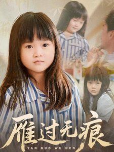 《雁过无痕(2025)》高清海报 免费在线观看