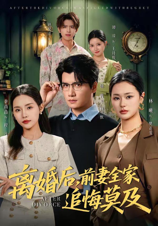 《离婚后，前妻全家追悔莫及(2026)》高清海报 免费在线观看