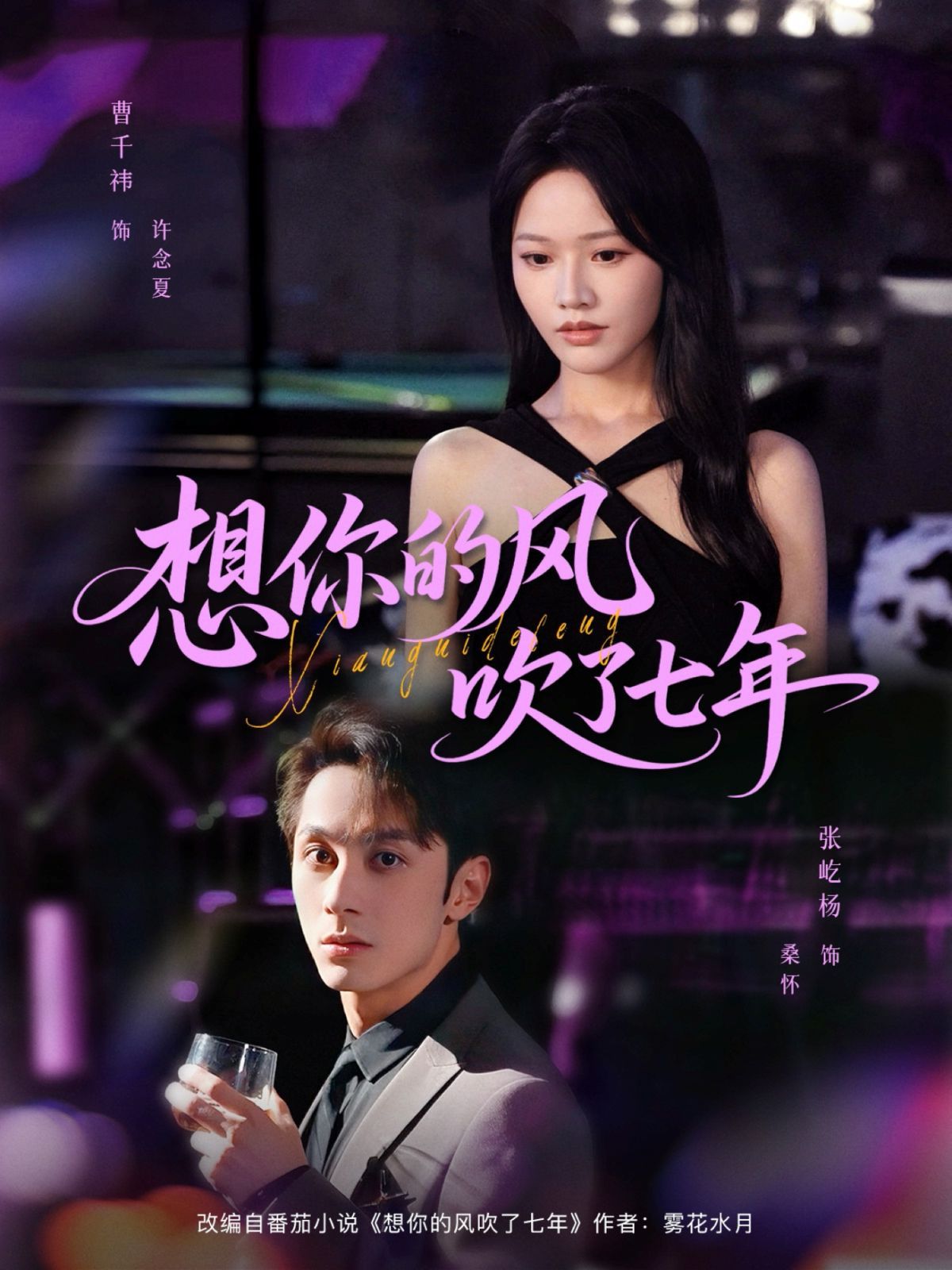 《想你的风吹了七年(2025)》高清海报 免费在线观看
