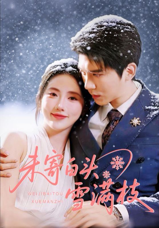 《未寄白头雪满枝(2025)》高清海报 免费在线观看