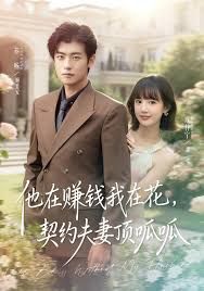《他在赚钱我在花，契约夫妻顶呱呱(2025)》高清海报 免费在线观看