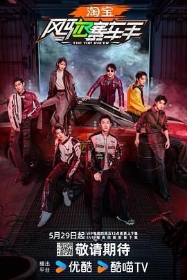 《风驰赛车手(2025)》高清海报 免费在线观看