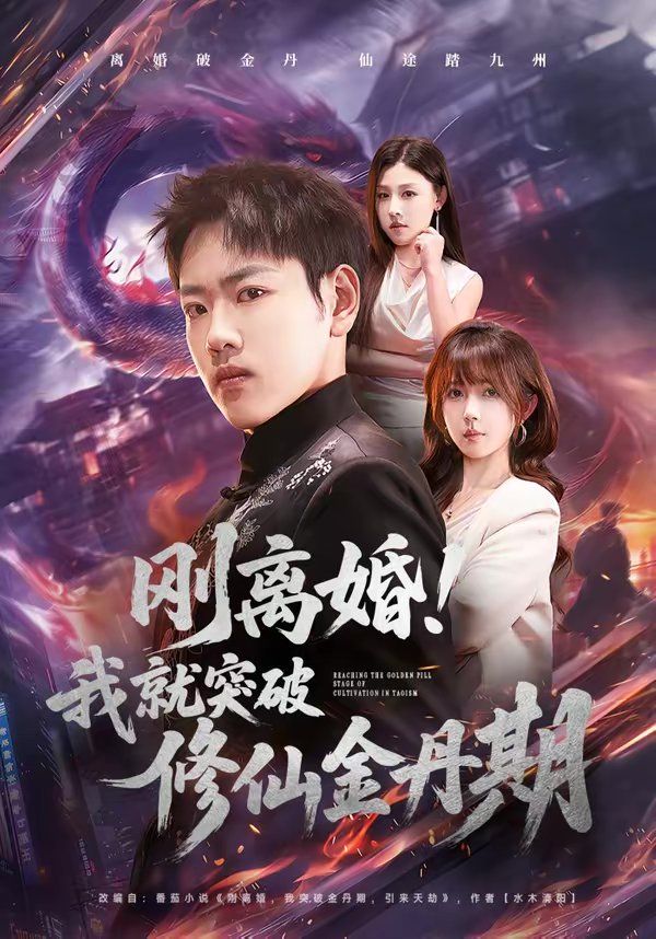 《刚离婚！我就突破修仙金丹期(2026)》高清海报 免费在线观看