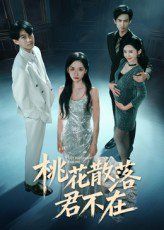 《我下跪感谢小三替我怀孕（桃花散落君不在）(2025)》高清海报 免费在线观看