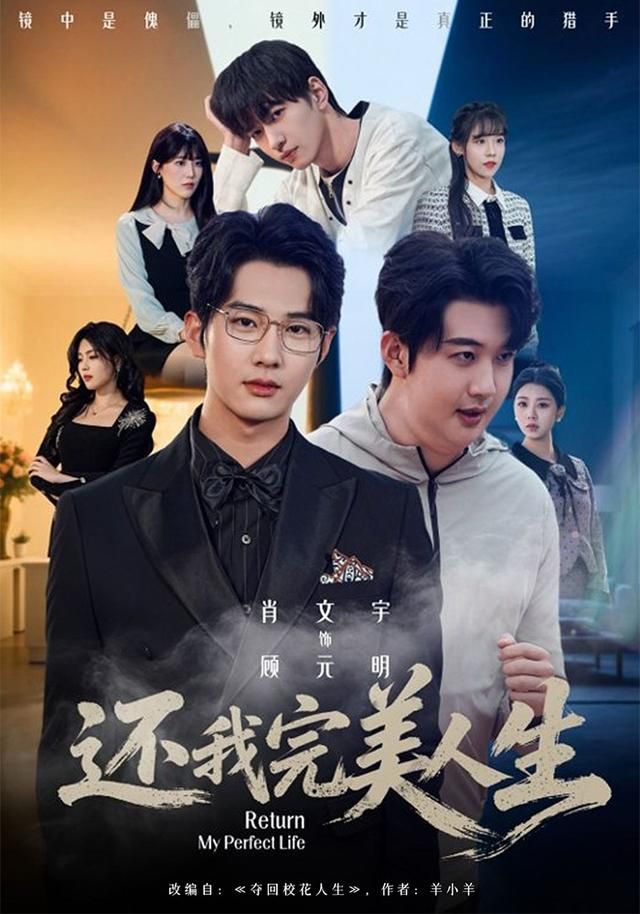 《还我完美人生(2026)》高清海报 免费在线观看