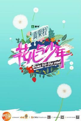 《花儿与少年第二季(2015)》高清海报 免费在线观看