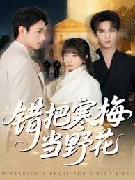 《错把寒梅当野花(2025)》高清海报 免费在线观看