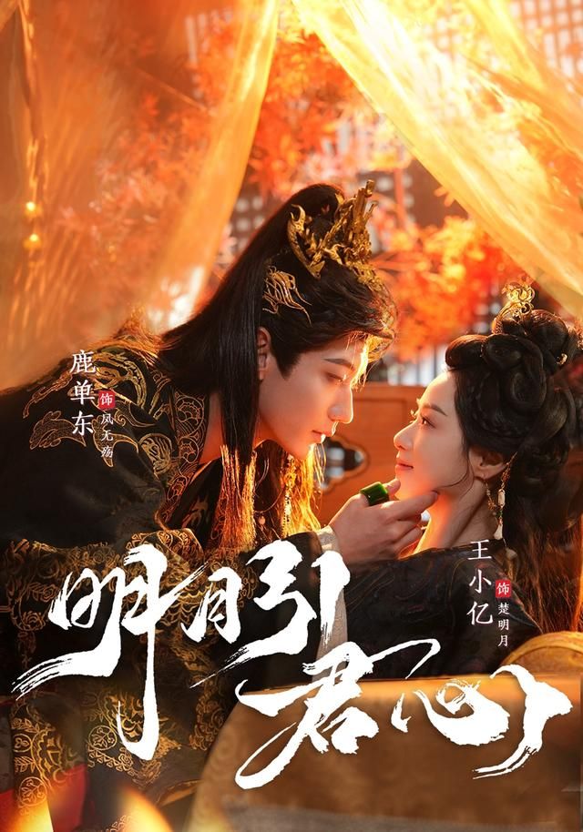 《明月引君心(2026)》高清海报 免费在线观看