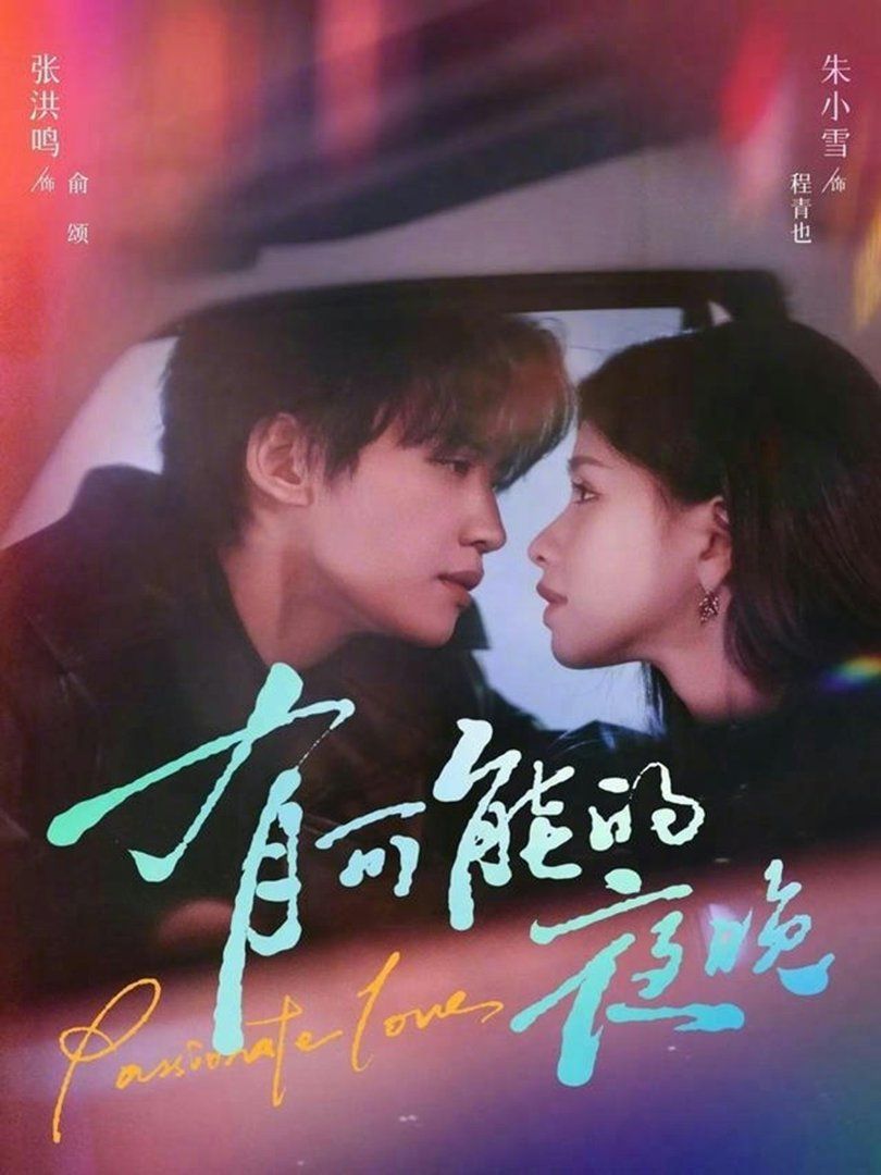 《有可能的夜晚(2026)》高清海报 免费在线观看
